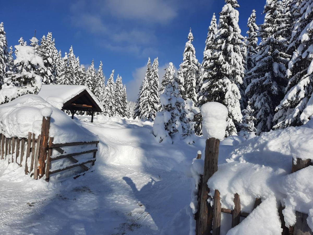 Vila Jelena Jahorina Exterior foto