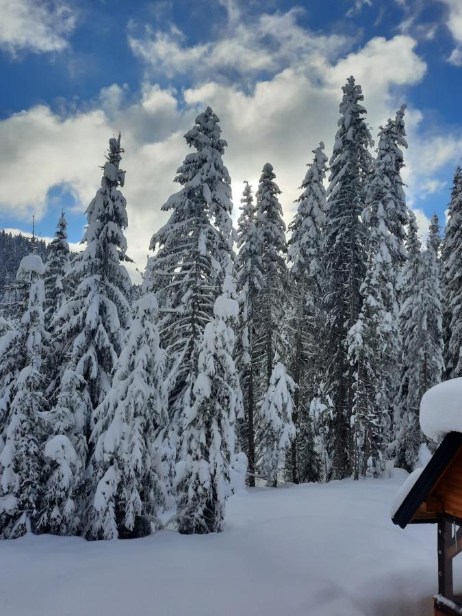 Vila Jelena Jahorina Exterior foto