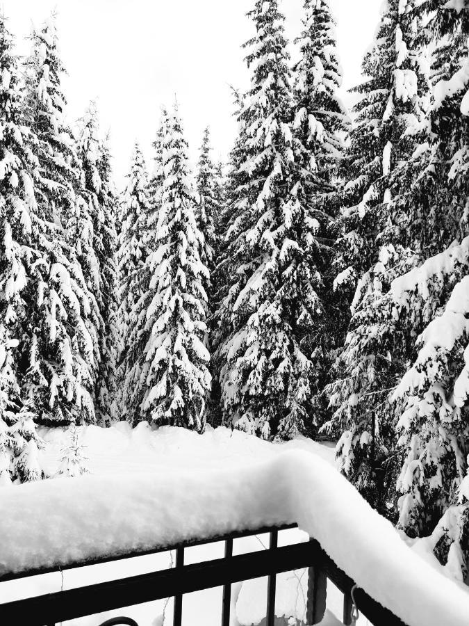 Vila Jelena Jahorina Exterior foto
