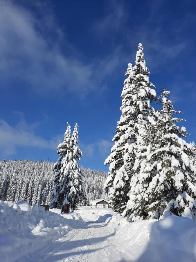 Vila Jelena Jahorina Exterior foto